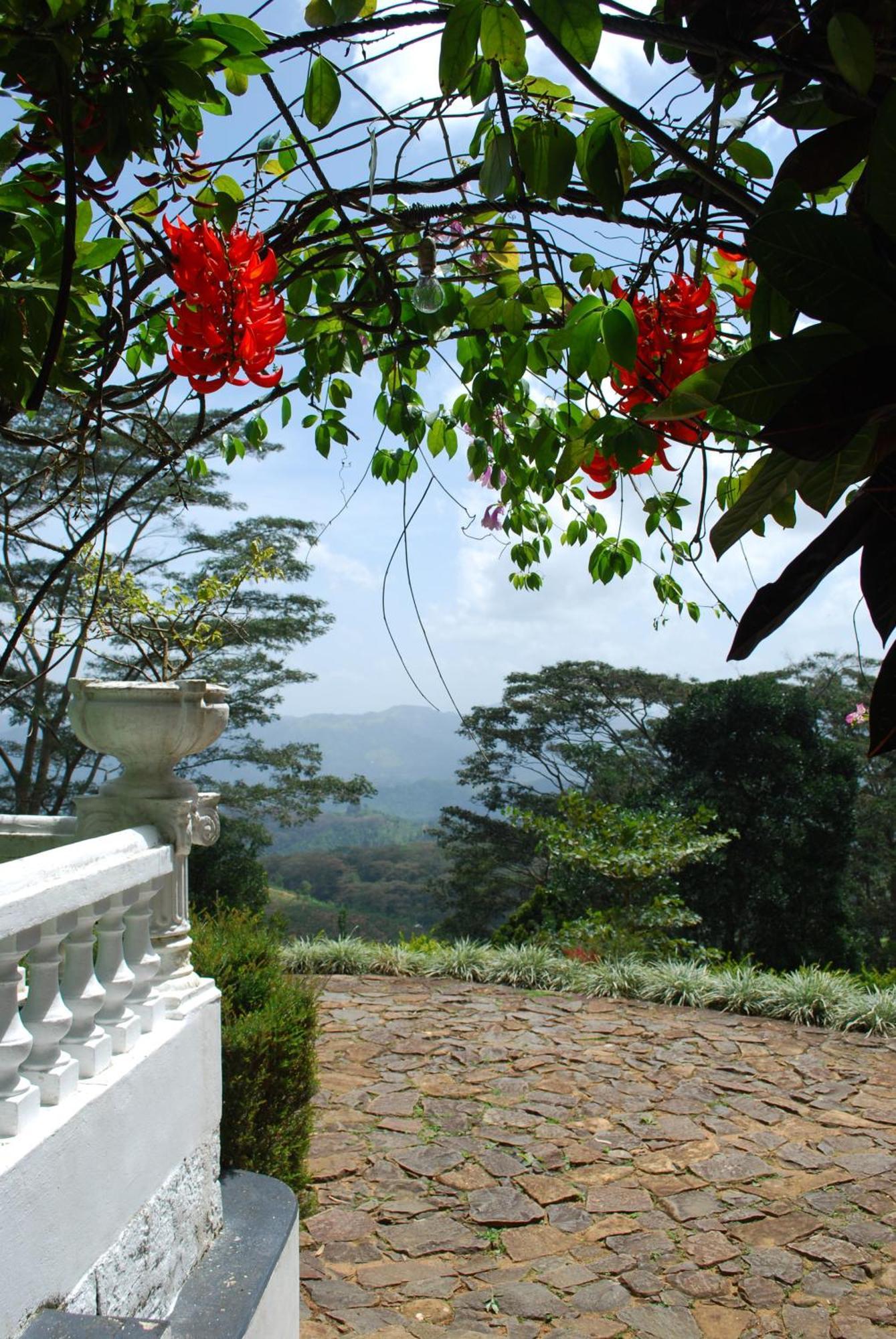 Hotel Ashburnham Estate Elkaduwa Exterior foto